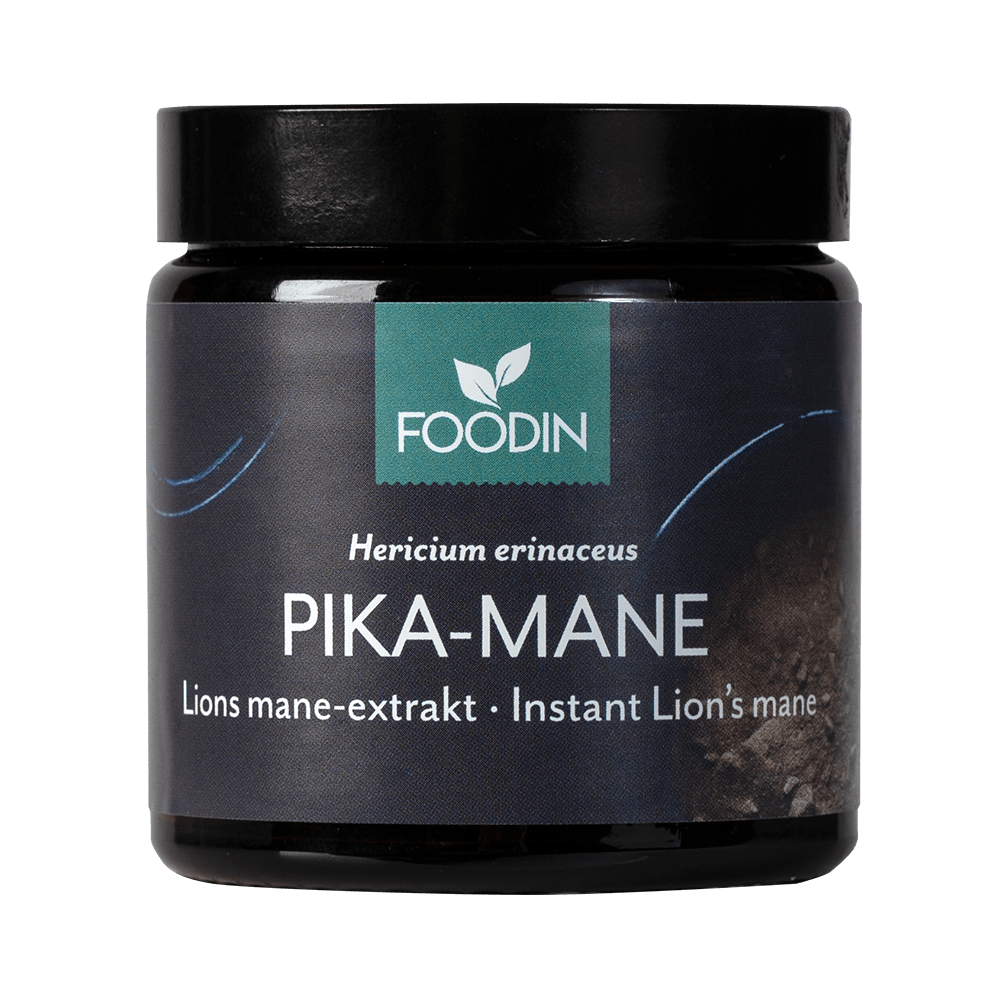 Foodin Pika-Mane 40 g - integratoridirecthub.com