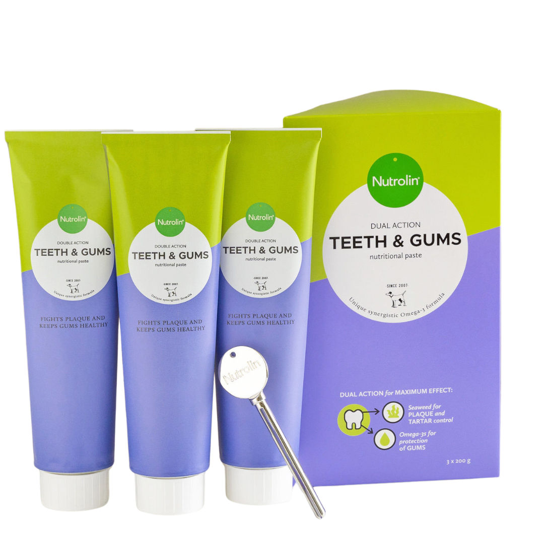 Nutrolin Teeth & Gums omegatahna, säästöpakkaus 600 g, 3x200g tuubia, integratoridirecthub.com