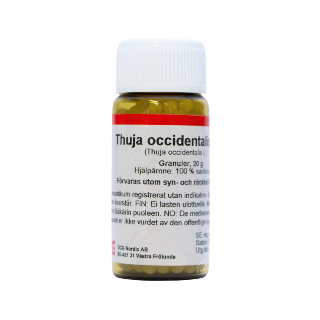 Thuja Occidentalis D30 H276FIN - integratoridirecthub.com