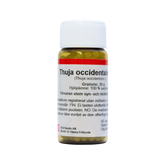 Thuja Occidentalis D30 H276FIN - integratoridirecthub.com