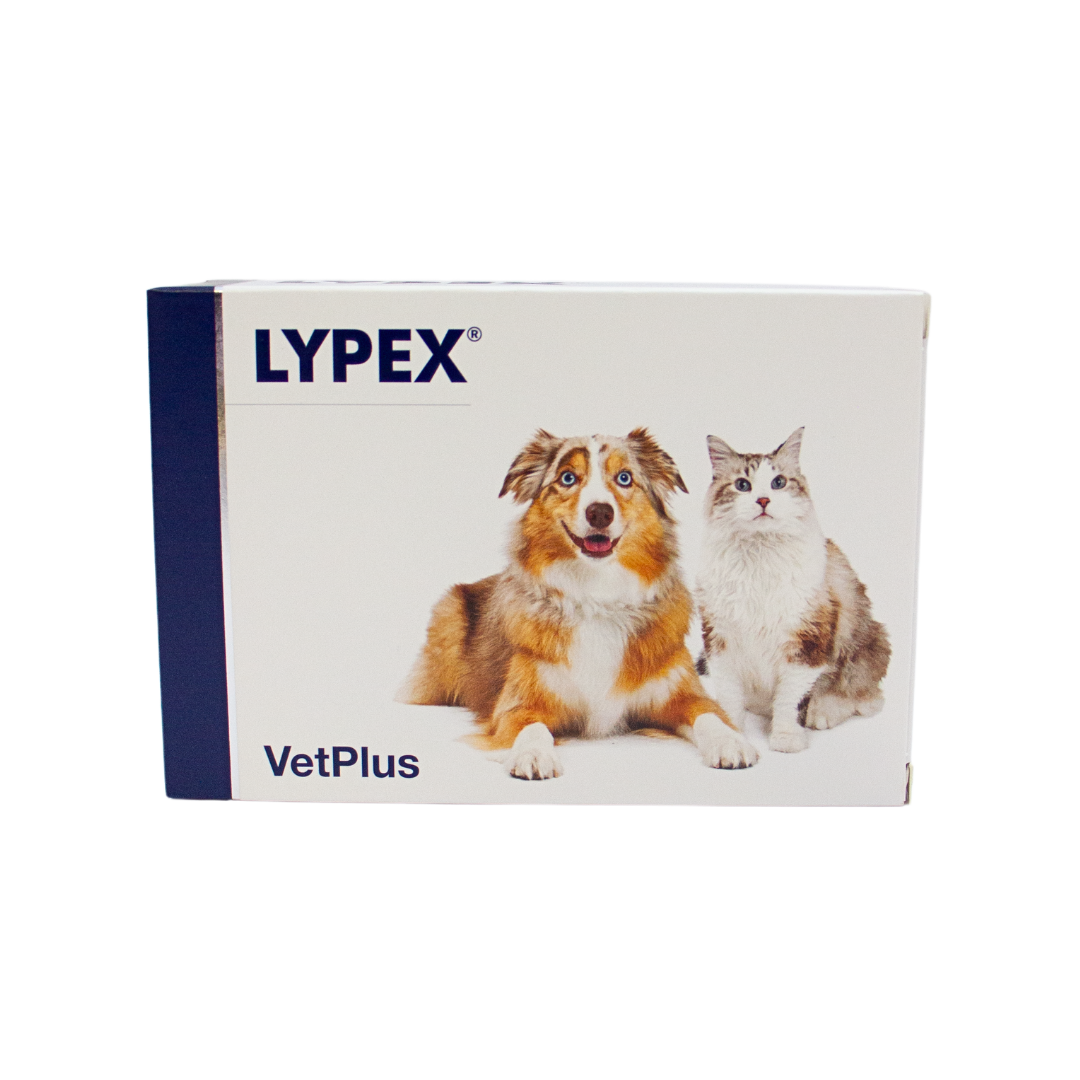 Lypex - Täydennysrehuvalmiste koirille ja kissoille 60 kaps. - integratoridirecthub.com
