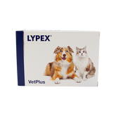 Lypex - Täydennysrehuvalmiste koirille ja kissoille 60 kaps. - integratoridirecthub.com